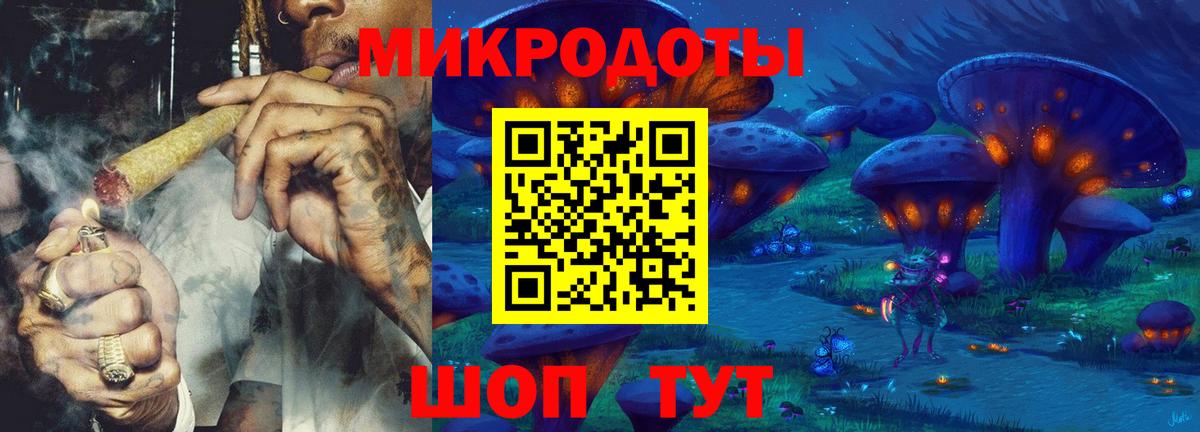 Псилоцибиновые грибы Cubensis Кропоткин