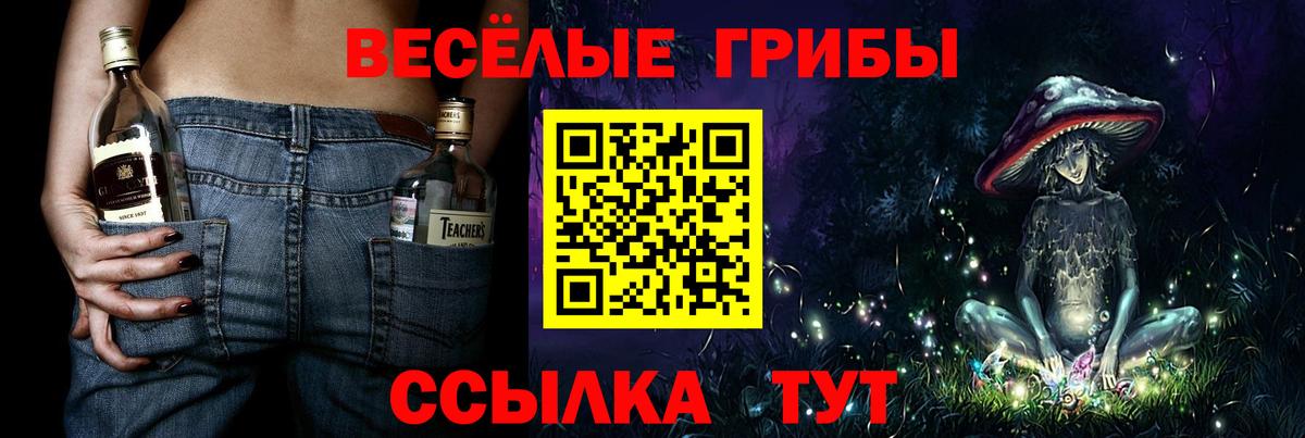 наркота  Псилоцибиновые грибы Magic Shrooms  Вход с VPN  Кропоткин 